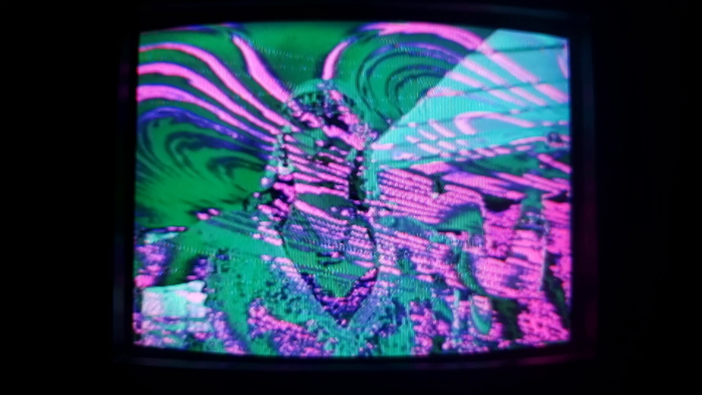 VSERPI Master System